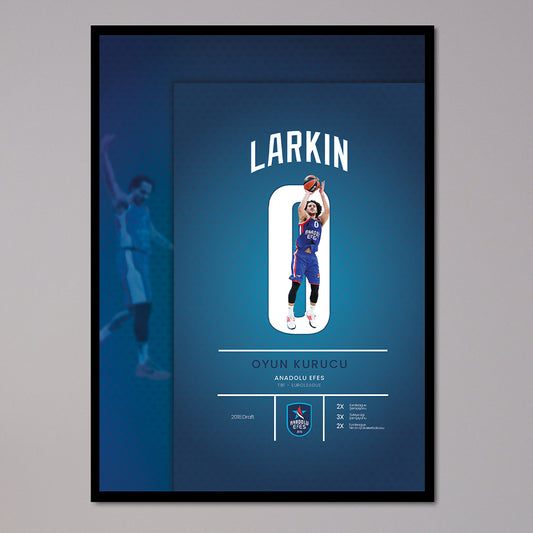 Shane Larkin Poster